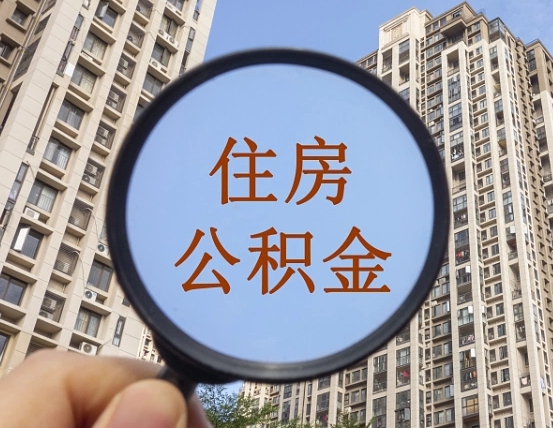 武义县退休后查不到公积金明细了吗（退休后公积金查询不到原因）